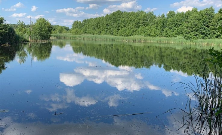 działka na sprzedaż - Sulechów